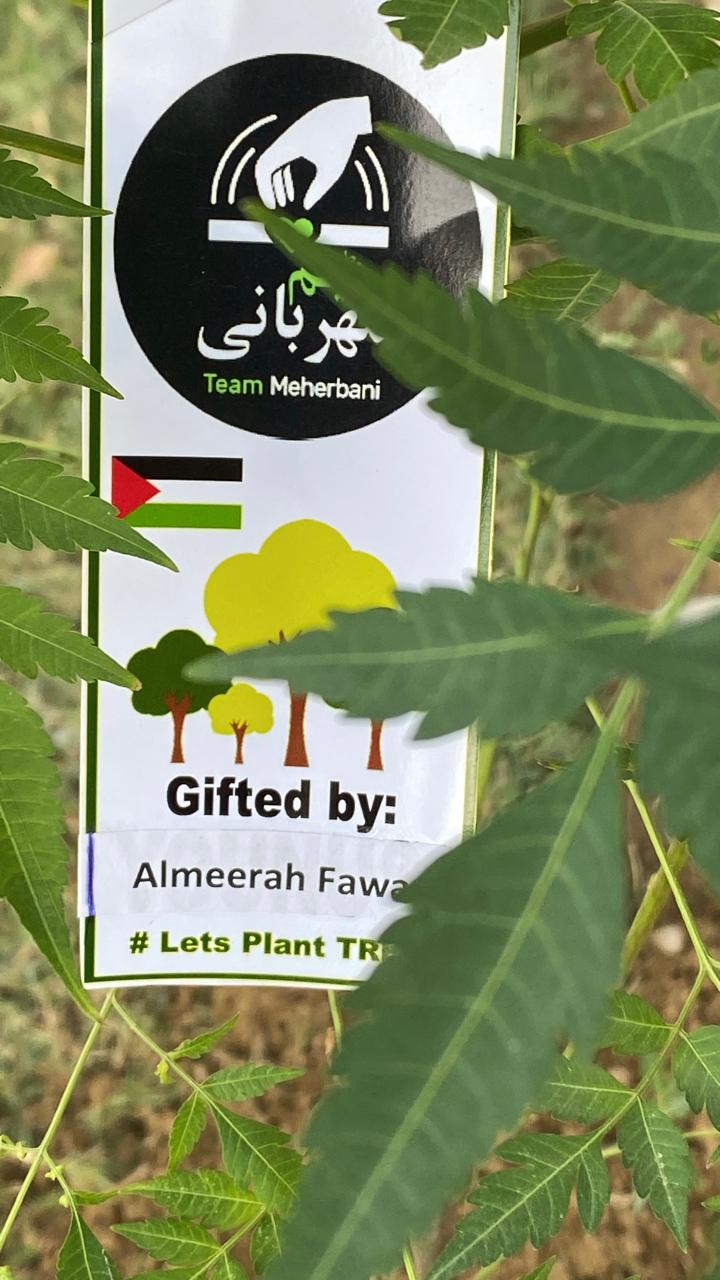 Community/Volunteer support