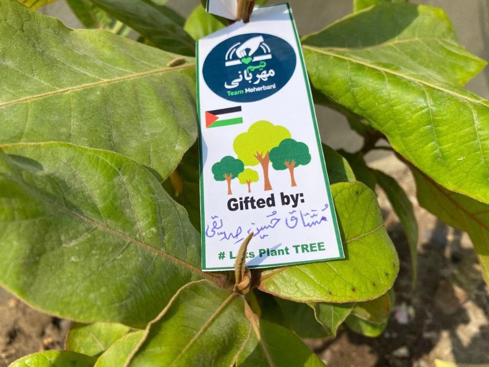 Plantation Drive